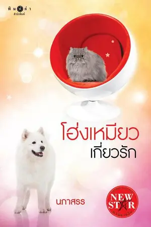 ปกนิยาย