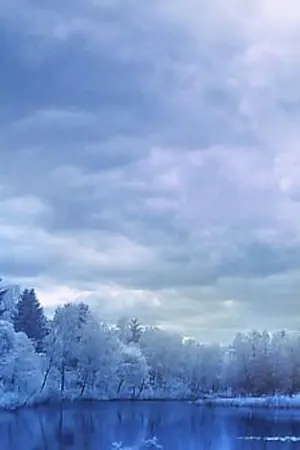 ปกนิยาย Dual Prince เจ้าชายของผม [Yaoi]