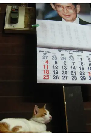 ปกนิยาย บันทึกแมวสามสี : .. เทวดาที่มีลมหายใจ ..