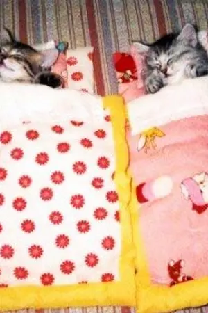 ปกนิยาย Only you ที่รักของฉัน