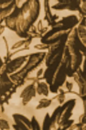 ปกนิยาย 「Singular Fiction」For you, anywhere is. . .