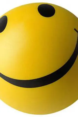 ปกนิยาย รักวุ่นๆ วัยรุ่นซ่าวัยเรียน