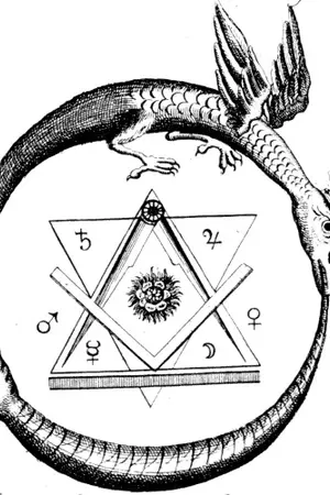 ปกนิยาย Infinity Online