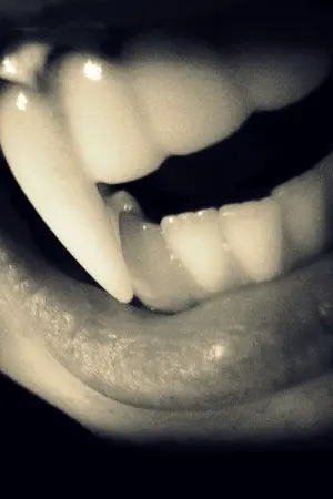 ปกนิยาย Love Vampire...รักต้องห้าม(ใจ)!!! HKS