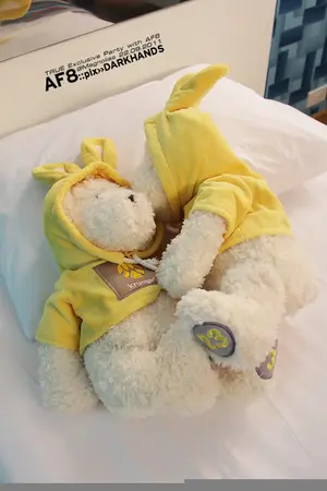 ปกนิยาย [เต๋า- คชา] The Roommate