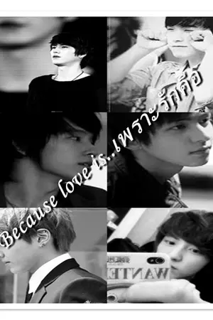 ปกนิยาย Because love is...เพราะรักคือ kyumin kyuhae kihae krisyeol hunhan