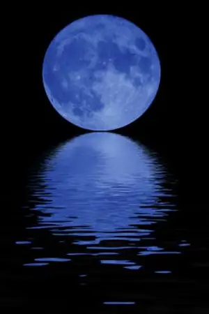 ปกนิยาย ราตรีนิรันดร์