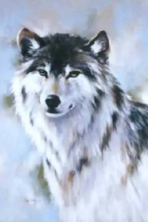 ปกนิยาย จันทร์ทรงกลด