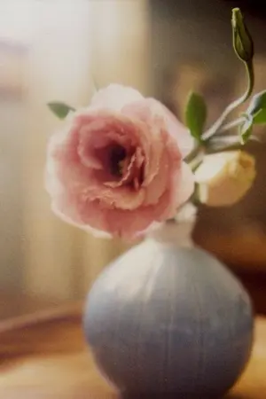 ปกนิยาย หนึ่งน้องนางเดียว