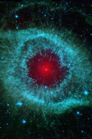 ปกนิยาย Xenova : Reincarnation