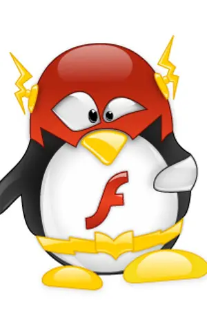 ปกนิยาย Flash CS6