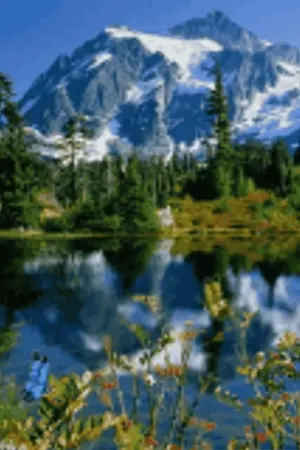 ปกนิยาย โรงเรียนจอมเวทย์ อินแฟเซีย