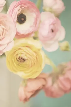 ปกนิยาย Bambina School   โรงเรียนสตรีบามบีน่า