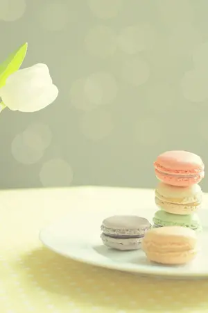 ปกนิยาย คลาสรูม - มารยาท