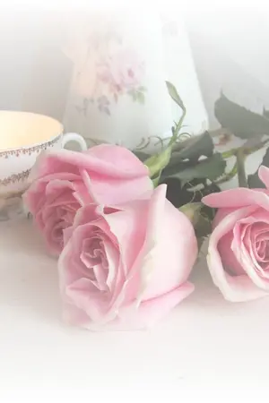 ปกนิยาย เล่ห์รักพันธนาการดวงใจ