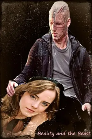 ปกนิยาย Beauty and the beast ฉบับ เดรโก มัลฟอยและเฮอร์ไมโอนี่ เกรนเจอร์