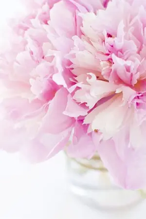 ปกนิยาย Dangerous Lover รั่ว เปิ่น ฮา ร้ายซ่าส์ครบสูตร [บทที่ 4]