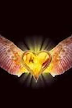 ปกนิยาย เข้าสู่การเดินทาง