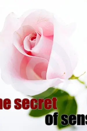 ปกนิยาย The secret of sense.