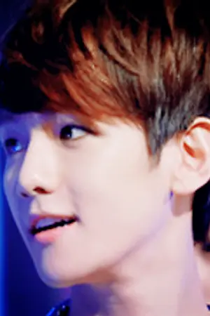 ปกนิยาย SF EXO มากคน มากความ [All x Baekhyun]