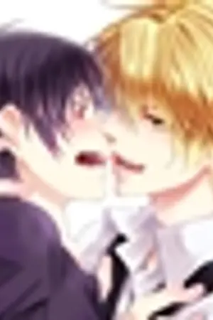 ปกนิยาย Durarara! Fic : So Impossible [Shizuo x Izaya]