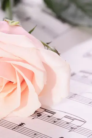 ปกนิยาย Nous et Paris ฝรั่งเศสพารัก ปารีสพาเลิฟ♥