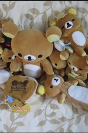 ปกนิยาย ขายตุ๊กตา rilakkuma ที่สะสมเอง สภาพดี มีป้ายห้อยเกือบทุกตัว