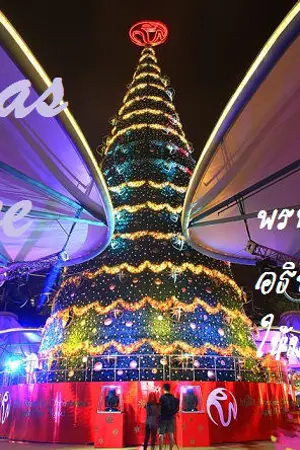 ปกนิยาย [ย้าย!!!]X' mas tree พรหมลิขิตรัก อธิษฐานหัวใจให้มารักกัน