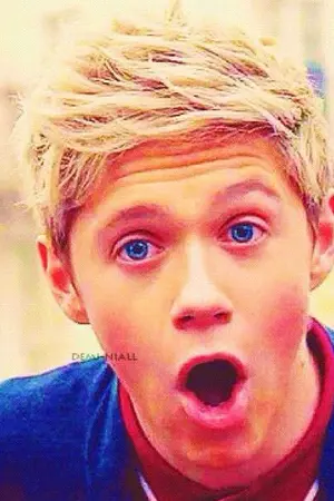 ปกนิยาย [Fic 1D] My Boo Nialler .