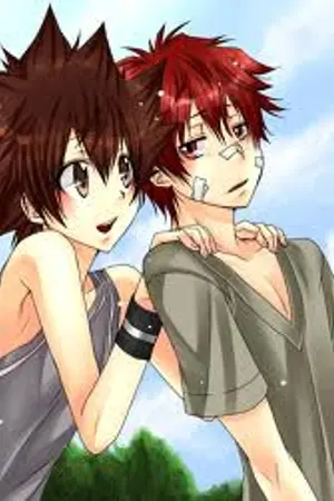 ปกนิยาย Fic[Reborn] 0027 - Dictatorial of love เผด็จการรัก นายทูน่า