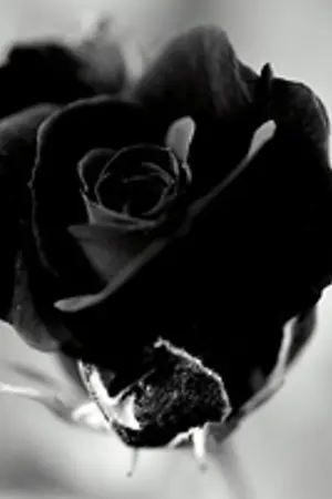 ปกนิยาย Death Lullaby (Yaoi)