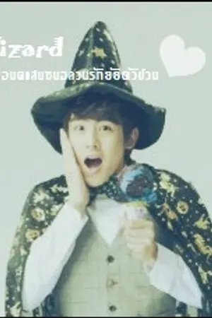 ปกนิยาย  Wizard  พ่อมดแสนซนอลวนรักยัยตัวป่วน