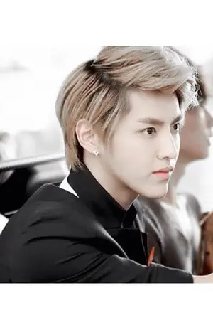 ปกนิยาย As Long As You Love Me  KrisYeol KaiDo HunHan