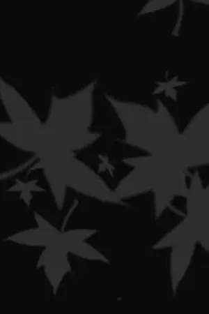 ปกนิยาย -