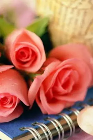 ปกนิยาย Fairy tail (yaoi) Love it รักกว่านี้ไม่มีอีกแล้ว!!