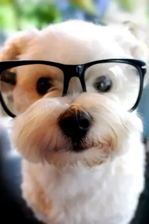 ปกนิยาย รัก...หฤทัยจอมเเก่น