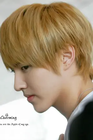 ปกนิยาย [Short Fic] SNSD EXO