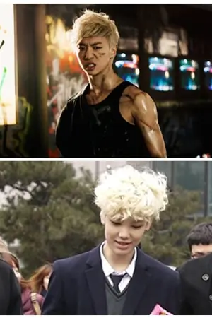 ปกนิยาย [FIC B.A.P] Fences