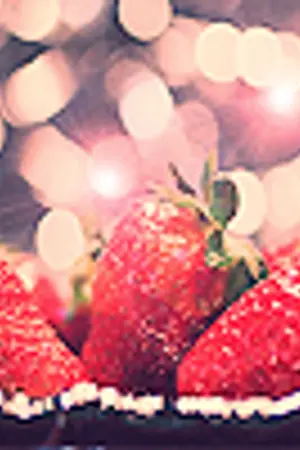 ปกนิยาย - diary .