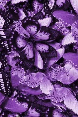 ปกนิยาย VaMPire + SeCret