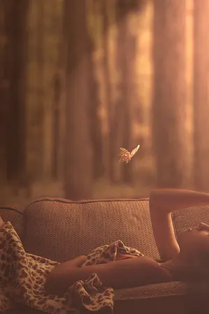 ปกนิยาย Complicated Love :: คำอธิบายรัก