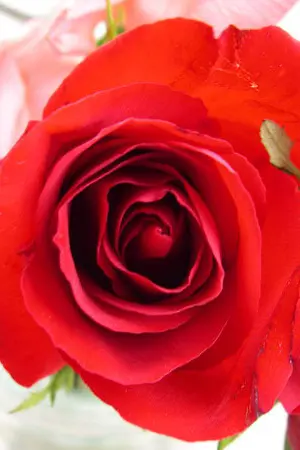 ปกนิยาย อันนี้ลองโค้ดนะ