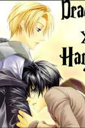 ปกนิยาย [Harry Potter]...คู่ร้ายกลายเป็นรัก...(DM/HP)