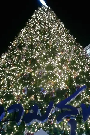 ปกนิยาย การ์ตูน Uncut มือสอง