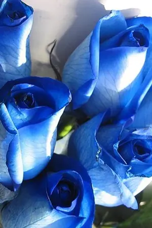 ปกนิยาย [Fic]Lie...to me โกหกฉันที..ว่าเรารักกัน{kyumin}