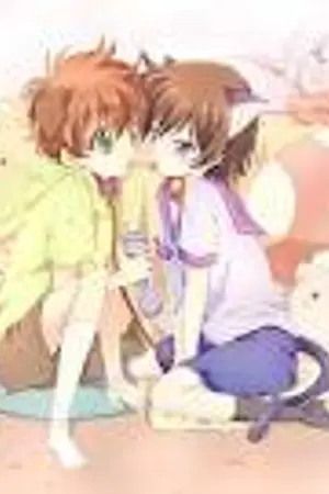 ปกนิยาย แมวสีสวาท Yaoi