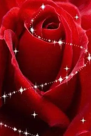 ปกนิยาย ความหมายของจูบ <3