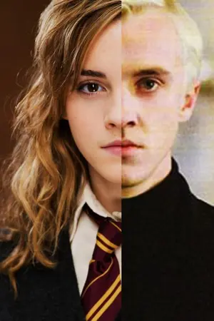 ปกนิยาย DraMione's story: ปฎิเสธไม่ได้ว่ารักเธอ [Draco x Hermione]