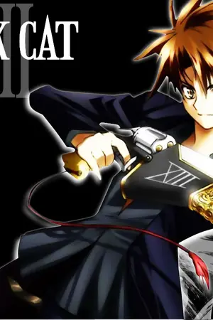 ปกนิยาย Black Cat แบล็คแคท   พากไทย