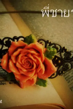 ปกนิยาย พี่ชายร้ายรัก